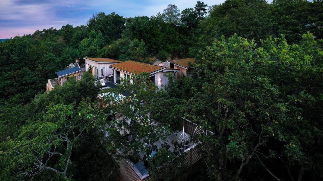 Hotel Treetop Hangout & Gothenburg